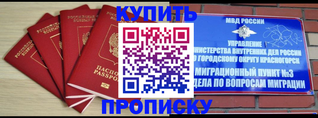 миграционный учет в Курской области